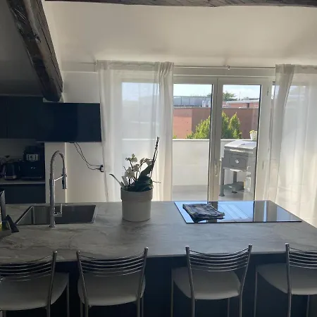 Apartment Rooftop Openspace With Balconies Parking And Bbq Como